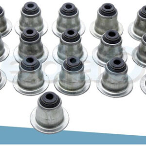 Retentores de Hastes de Válvulas 16V Ford Zetec / Zetec E 1.8/2.0 Fiesta/Focus/Ecosport/Mondeo