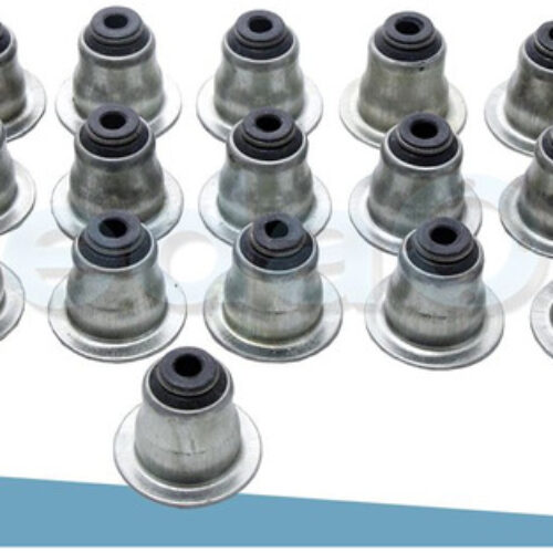 Retentores de Hastes de Válvulas 16V Ford Zetec / Zetec E 1.8/2.0 Fiesta/Focus/Ecosport/Mondeo