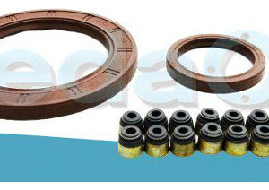 Kit de Retentores Nissan Tiida / Renault Megane 1.8 16V MR18DE / 2.0 16V M4R711