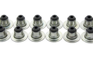 Retentores de Haste de Válvula  Gm 16V Ecotec Captiva Malibu 2.4 Peugeot 2.0 Xu7 Xu10 Ew10