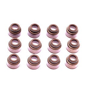 Retentor Haste de Válvulas GM 12V 3.0 CIH C30NE Omega 4.3 V6 Vortec L35 Blazer - 12 peças