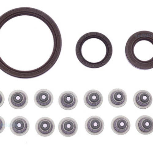 Kit de Retentores Renault Clio / Peugeot 206 1.0 16V D4D / D4F