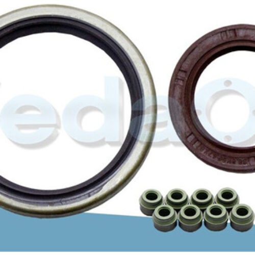 Kit de Retentores Ford Fiesta / Ka 1.0/1.3 8V Endura OHV (HCS)