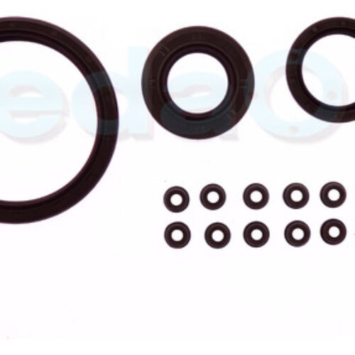 Kit de Retentores Renault Clio / Logan/ Sandero / Kangoo 1.0 16V D4D D4F HI-FLEX