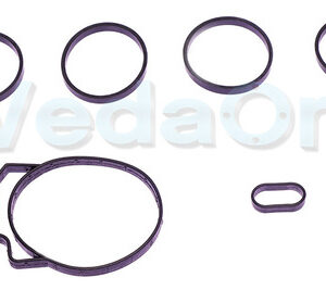 Kit Coletor de Admissão GM Captiva Malibu 2.4 16v Ecotec Injeção Indireta