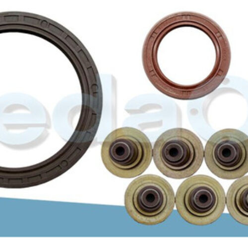 Kit de Retentores Renault R19/Clio/Pick Up Express 1.6 8V C3L