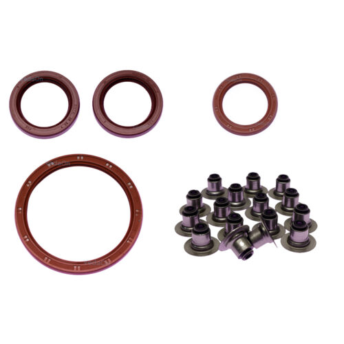 Kit de Retentores Peugeot 307/407/807/ Citroen C4/C5/Grand Picasso 2.0 16V EW10A (RFJ) 2005/…