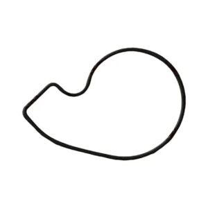 Jta Bomba D'Água Hyundai HB20 / Kia Picanto 1.0 12V KAPPA DOHC CVVT