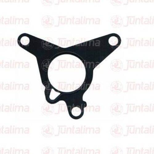 Junta Bomba Vacuo Fastback Pulse Toro Commander Gse 1.0 12V T200 1.3 16V T270