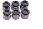Kit de Retentor de Haste de Válvula Asia Towner 6 Cilindros - 6 Peças