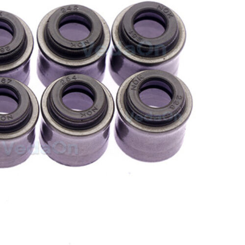 Kit de Retentor de Haste de Válvula Asia Towner 6 Cilindros – 6 Peças