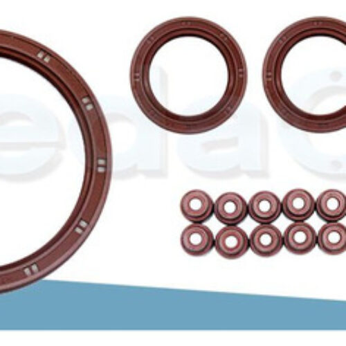 Kit De Retentores 16V Kia Sportage/Retona/Clarus 2.0 Fe / Fed / Fe-Di