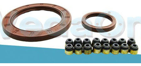 Kit de Retentores Nissan Tiida / Renault Megane 1.8 16V MR18DE / 2.0 16V M4R711