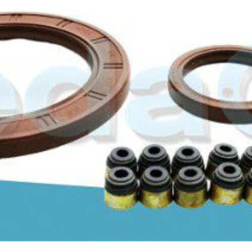 Kit de Retentores Nissan Tiida / Renault Megane 1.8 16V MR18DE / 2.0 16V M4R711