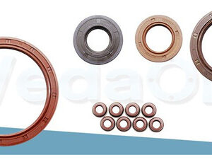 Kit de Retentores Renault Scenic/Clio/Megane/Laguna/Kangoo 8V 1.8 F3N F3P / 2.0 F3R