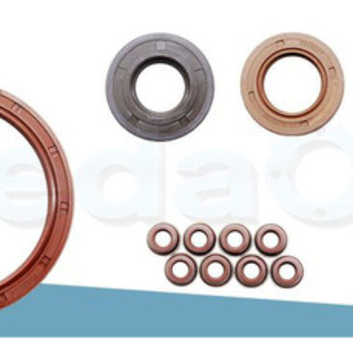 Kit de Retentores Renault Scenic/Clio/Megane/Laguna/Kangoo 8V 1.8 F3N F3P / 2.0 F3R