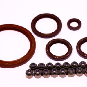 Kit de Retentores JAC J6 2.0 16V Motor HFC4EA