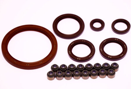 Kit de Retentores JAC J6 2.0 16V Motor HFC4EA
