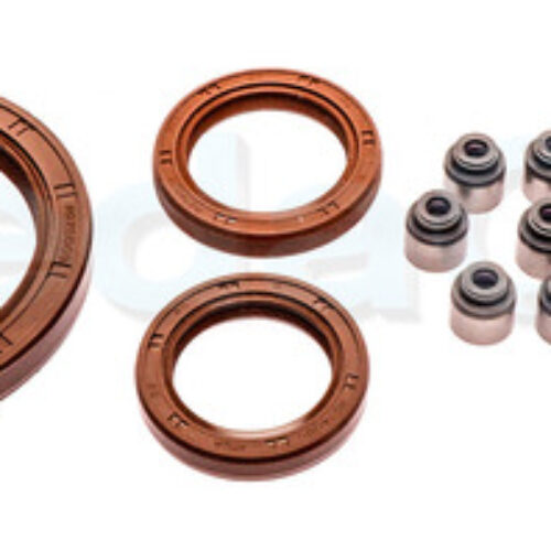 Kit Retentores Completo Lifan 320 Foison 1.3 16v / 620 Talent 1.6 16v