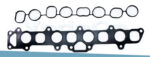 Kit Coletores de Admissão S10 Trail Blazer 2.8 16v Diesel Ctdi Duramax