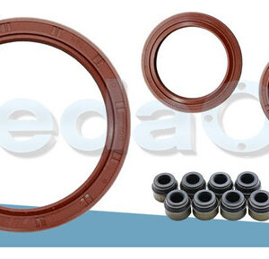 Kit de Retentores Renault Clio/Scenic/Megane/Logan/Sandero 1.6 8V K7M / K7J