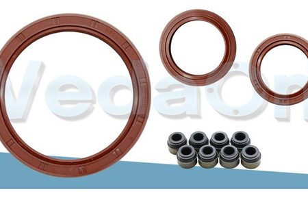 Kit de Retentores Renault Clio/Scenic/Megane/Logan/Sandero 1.6 8V K7M / K7J