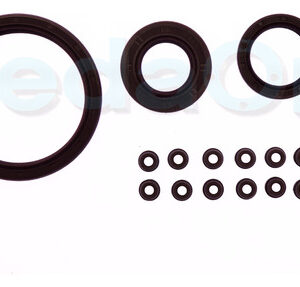 Kit de Retentores Renault Clio / Logan/ Sandero / Kangoo 1.0 16V D4D D4F HI-FLEX
