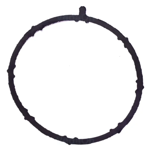 Junta Corpo da Borboleta TBI Classe A 140/160/190 Chery Face mtr 1.3 16V SQR473F