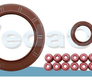 Kit De Retentores 16V Hyundai Hb20 / Kia Soul / Cerato 1.6 G4Fc Gamma