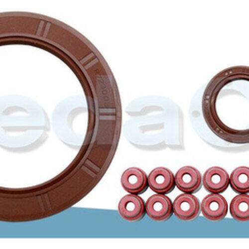 Kit De Retentores 16V Hyundai Hb20 / Kia Soul / Cerato 1.6 G4Fc Gamma