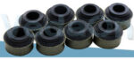 Kit de Retentores Com Flange 8V Fiat Ducato/Iveco Daily/Renault Master TD 2.5 / 2.8 8140 - Imagem 2
