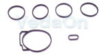 Kit Coletor de Admissão GM Captiva Malibu 2.4 16v Ecotec Injeção Indireta