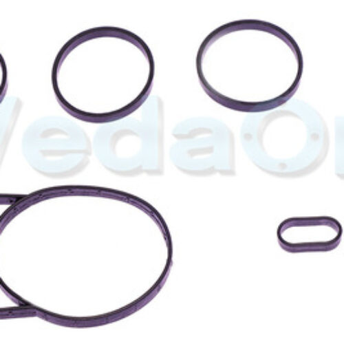 Kit Coletor de Admissão GM Captiva Malibu 2.4 16v Ecotec Injeção Indireta