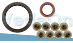 Kit de Retentores Renault R19/Clio/Pick Up Express 1.6 8V C3L