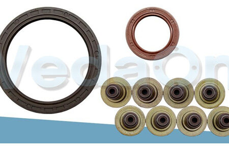 Kit de Retentores Renault R19/Clio/Pick Up Express 1.6 8V C3L