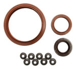 Kit de Retentor GM Corsa/Celta/Meriva / Fiat Stilo/Palio 8V 1.0/1.4/1.6/1.8 OHc/VHC