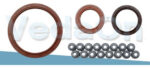 Kit De Retentores 16V Hyundai Tucson / Kia Sportage 2.0 G4Gc