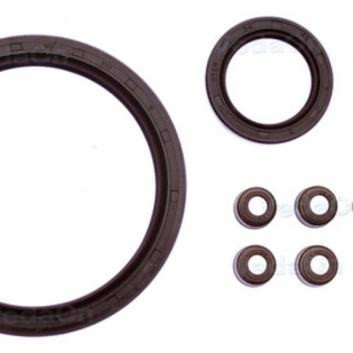 Kit De Retentores 8V Kia Besta 2.2 Hw / R2 92/97 (Diesel)