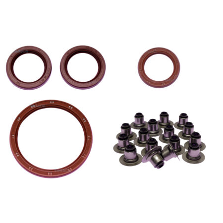 Kit de Retentores Peugeot 307/407/807/ Citroen C4/C5/Grand Picasso 2.0 16V EW10A (RFJ) 2005/...